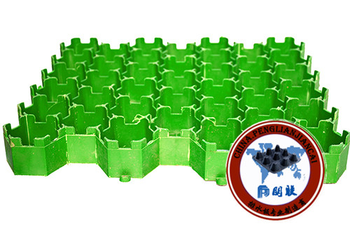 塑料植草格http://m.fcemwgsti.cn/